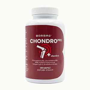 BORMAG ChondroPro komplex se shiitake a boswellií 120 kapslí
