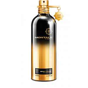 Spicy Aoud - EDP 100 ml