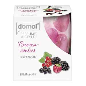 Domol Vonná svíčka Kouzlo bobulí