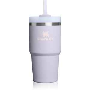 Stanley Quencher H2.O FlowState™ Tumbler nerezový tumbler s brčkem malý Purple Dust 1 ks