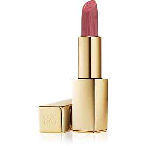 Estée Lauder Pure Color Matte Lipstick dlouhotrvající rtěnka s matným efektem odstín Stolen Heart 3.5 g