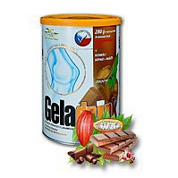 Geladrink Milk prášek 280 g čokoláda
