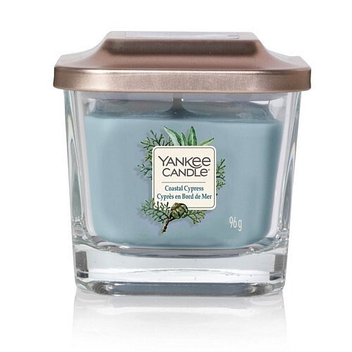 Yankee Candle Aromatická svíčka malá hranatá Coastal Cypress  96 g