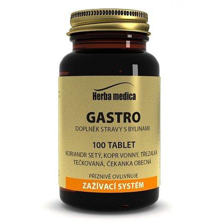 Herba medica Gastro 100 tbl.
