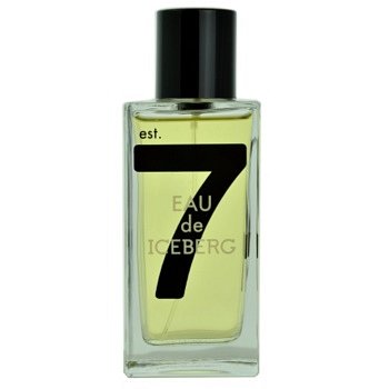 Iceberg Eau de Iceberg 74 Pour Homme toaletní voda pro muže 100 ml