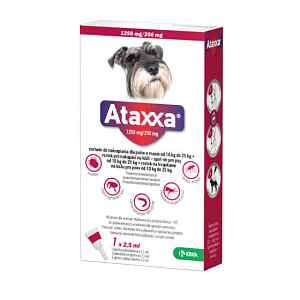 Ataxxa pro psy 10-25kg spot-on 1x2.5ml