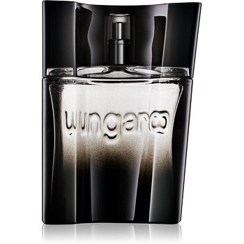 Emanuel Ungaro Ungaro Masculin toaletní voda pro muže 50 ml