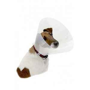 Límec Ochranný Buster Plastový Clic Collar 25cm