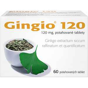 Gingio 120 por.tbl.flm.60x120mg