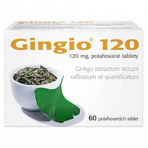 Gingio 120 por.tbl.flm.60x120mg