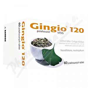 Gingio 120 por.tbl.flm.60x120mg