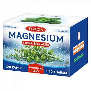 TEREZIA Magnesium+vit.B6 a meduňka cps.120+30