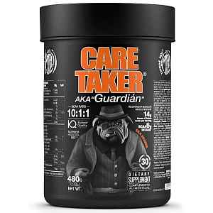 Zoomad Labs CareTaker BCAA 480 g silk orange