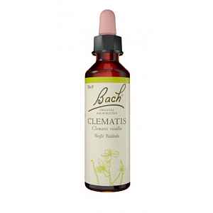Bach® Clematis 20ml