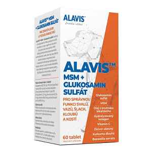 ALAVIS MSM+Glukosamin sulfát tbl.60