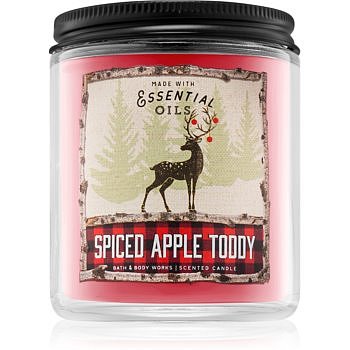 Bath & Body Works Spiced Apple Toddy vonná svíčka 198 g II.