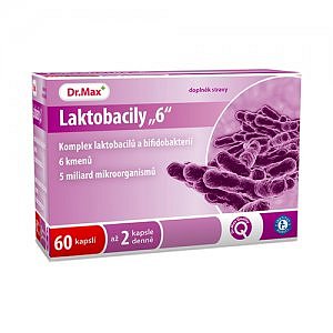 Dr.Max LAKTOBACILY 6 cps 60