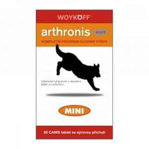 Woykoff Arthronis ACUTE mini sýrová příchuť 60 tablet