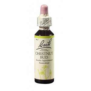 Bach® Chestnut Bud 20ml