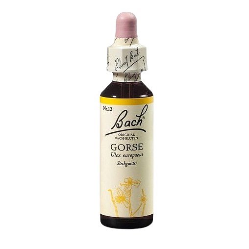 Bach® Gorse 20ml