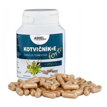 Kotvičník zemní FORTE s vitamínem E cps.90