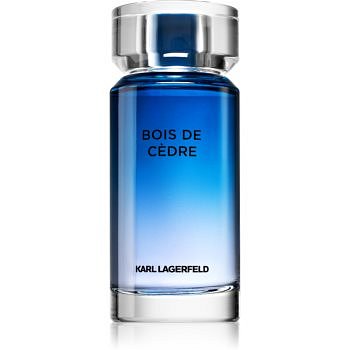 Karl Lagerfeld Bois De Cèdre toaletní voda pro muže 100 ml