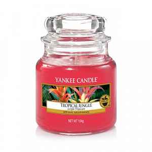 Yankee Candle Tropical Jungle vonná svíčka Classic malá 104 g