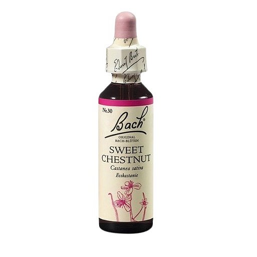 Bach® Sweet Chestnut 20ml