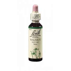 Bach® Walnut 20ml