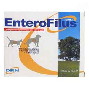 Enterofilus 12x10ml