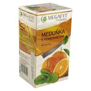 MEGAFYT Ovocný Meduňka s pomerančem 20 x 2 g