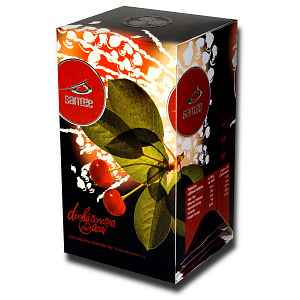 Santée Divoká třešeň & Acai porcovaný čaj 20x2,5 g