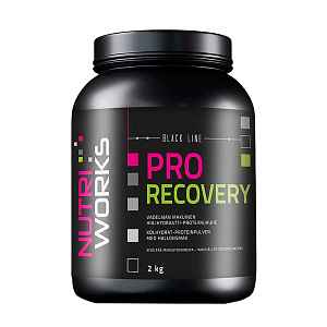 NutriWorks Pro Recovery malina 2kg