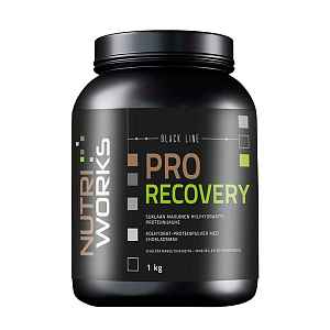 NutriWorks Pro Recovery čokoláda 1kg