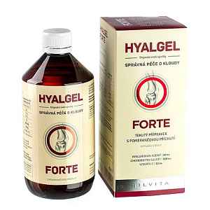 Hyalgel forte pomeranč 500ml