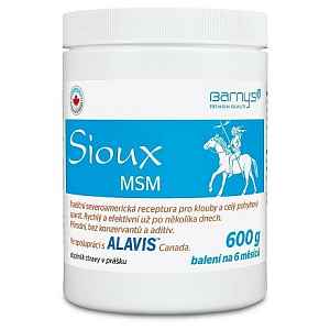 Barnys MSM Sioux 600g