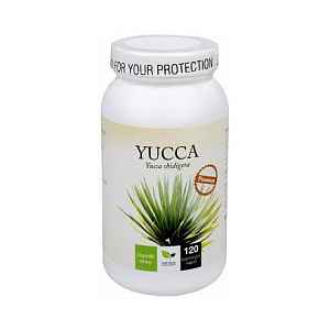Yucca Premium cps.120