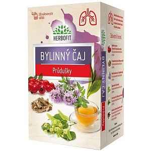 Bylinný čaj Průdušky galmed 20x1.5g