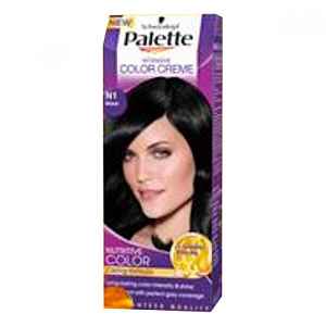 PALETTE icc n1 černá