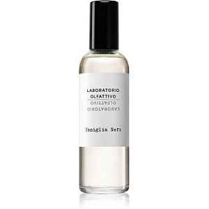 Laboratorio Olfattivo Vaniglia Nera bytový sprej 100 ml