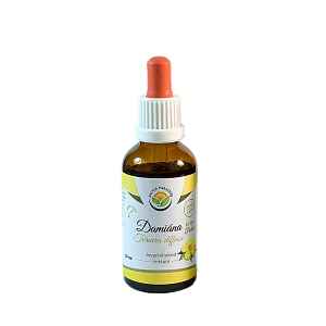 SALVIA PARADISE Damiána - Turnera diffusa AF tinktura 50 ml