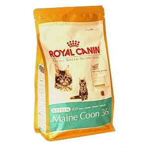 Royal canin Breed Feline Kitten Maine Coon 400 g