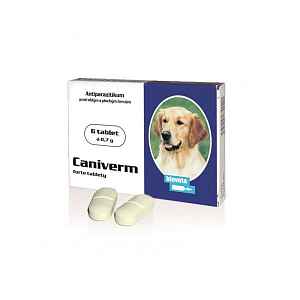 Caniverm forte 0,7g 6tbl