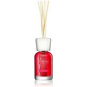 Millefiori Natural Mela & Cannella aroma difuzér s náplní 100 ml