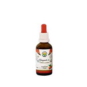 SALVIA PARADISE Ašvaganda - Vitánie AF tinktura BIO 50 ml